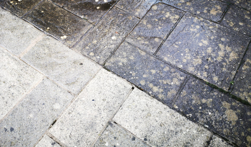 before and after mold removal on tiles